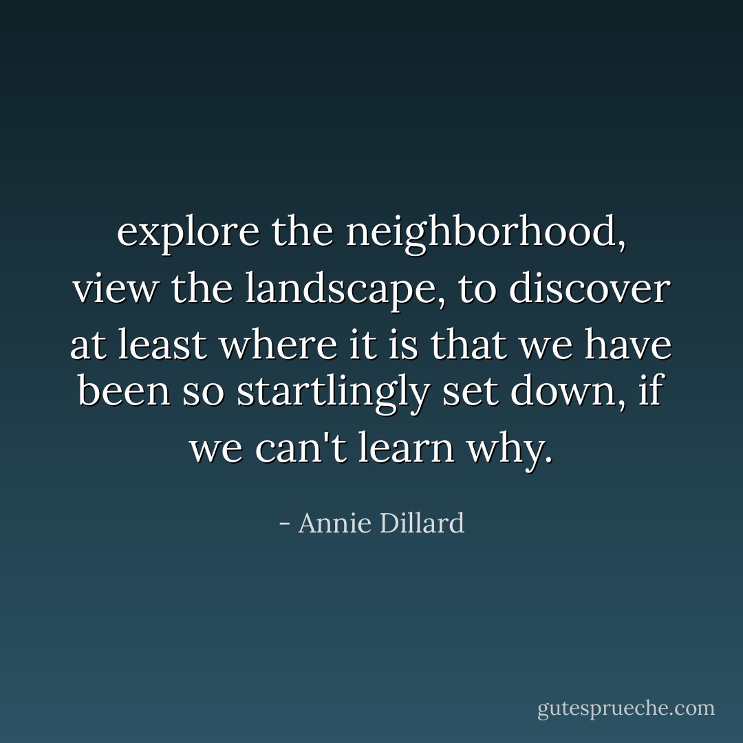 explore the neighborhood, view the landscape, to discover at least where it is that we have been so startlingly set down, if we can't learn why. - Annie Dillard