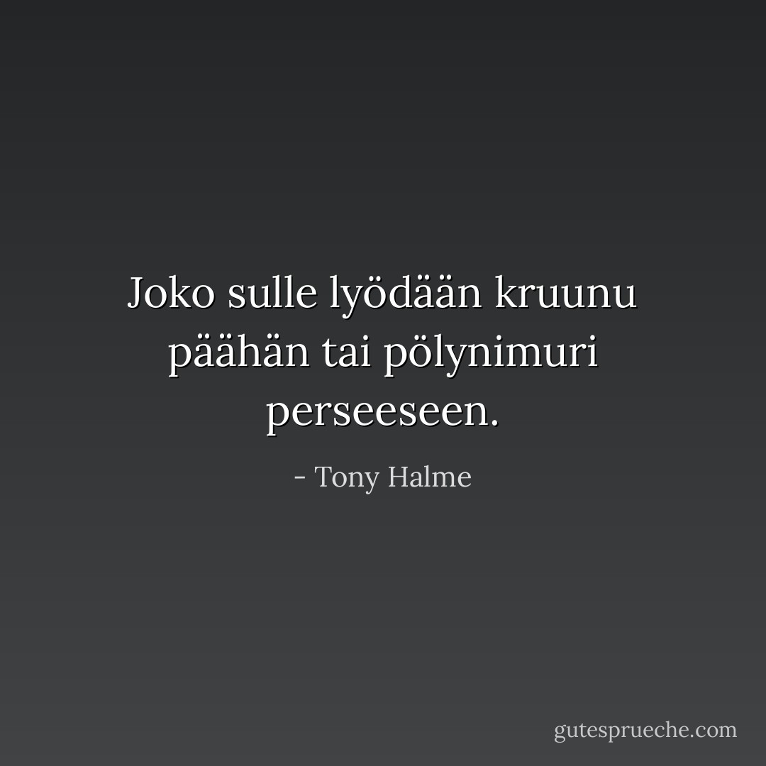 Joko sulle lyödään kruunu päähän tai pölynimuri perseeseen. - Tony Halme