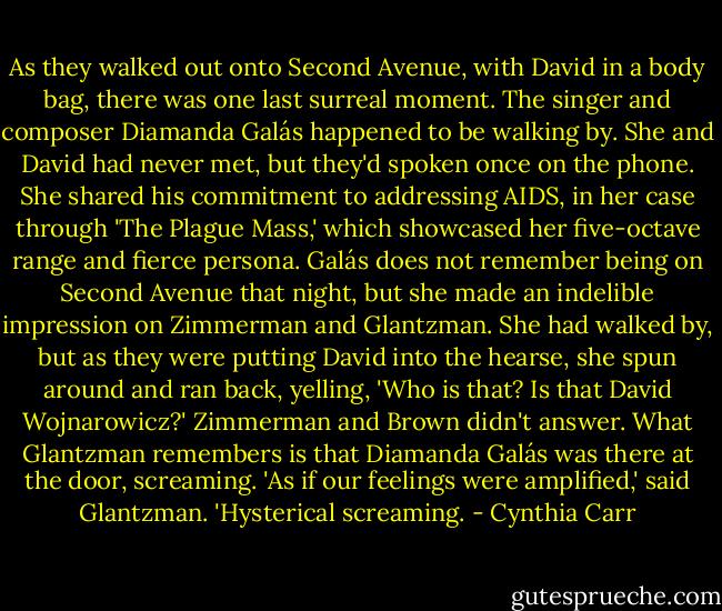 As they walked out onto Second Avenue, with David in a body bag, there was one last surreal moment. The singer and composer Diamanda Galás happened to be walking by. She and David had never met, but they'd spoken once on the phone. She shared his commitment to addressing AIDS, in her case through 'The Plague Mass,' which showcased her five-octave range and fierce persona.<br />Galás does not remember being on Second Avenue that night, but she made an indelible impression on Zimmerman and Glantzman.<br />She had walked by, but as they were putting David into the hearse, she spun around and ran back, yelling, 'Who is that? Is that David Wojnarowicz?' Zimmerman and Brown didn't answer. What Glantzman remembers is that Diamanda Galás was there at the door, screaming. 'As if our feelings were amplified,' said Glantzman. 'Hysterical screaming. - Cynthia Carr