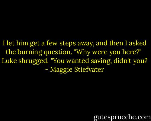 I let him get a few steps away, and then I asked the burning question. "Why were you here?"<br /><br />Luke shrugged. "You wanted saving, didn't you? - Maggie Stiefvater