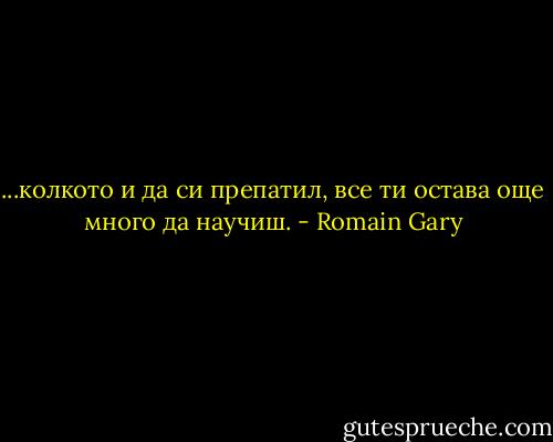 ...колкото и да си препатил, все ти остава още много да научиш. - Romain Gary