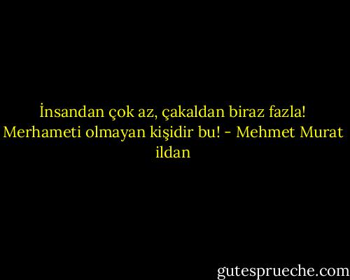 İnsandan çok az, çakaldan biraz fazla! Merhameti olmayan kişidir bu! - Mehmet Murat ildan