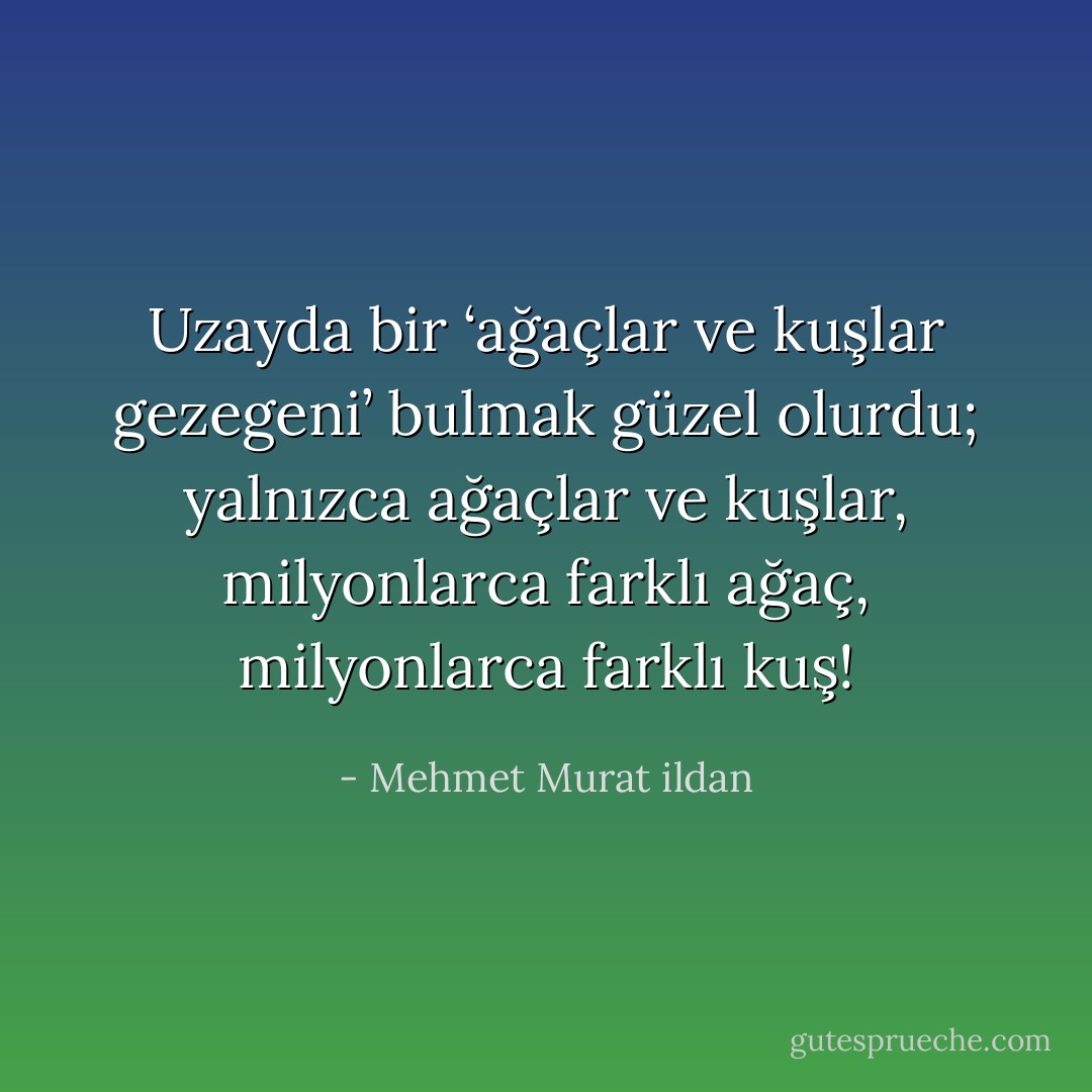 Uzayda bir ‘ağaçlar ve kuşlar gezegeni’ bulmak güzel olurdu; yalnızca ağaçlar ve kuşlar, milyonlarca farklı ağaç, milyonlarca farklı kuş! - Mehmet Murat ildan