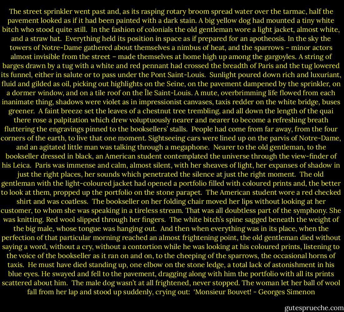The street sprinkler went past and, as its rasping rotary broom spread water over the tarmac, half the pavement looked as if it had been painted with a dark stain. A big yellow dog had mounted a tiny white bitch who stood quite still.<br /><br />In the fashion of colonials the old gentleman wore a light jacket, almost white, and a straw hat.<br /><br />Everything held its position in space as if prepared for an apotheosis. In the sky the towers of Notre-Dame gathered about themselves a nimbus of heat, and the sparrows – minor actors almost invisible from the street – made themselves at home high up among the gargoyles. A string of barges drawn by a tug with a white and red pennant had crossed the breadth of Paris and the tug lowered its funnel, either in salute or to pass under the Pont Saint-Louis.<br /><br />Sunlight poured down rich and luxuriant, fluid and gilded as oil, picking out highlights on the Seine, on the pavement dampened by the sprinkler, on a dormer window, and on a tile roof on the Île Saint-Louis. A mute, overbrimming life flowed from each inanimate thing, shadows were violet as in impressionist canvases, taxis redder on the white bridge, buses greener.<br /><br />A faint breeze set the leaves of a chestnut tree trembling, and all down the length of the quai there rose a palpitation which drew voluptuously nearer and nearer to become a refreshing breath fluttering the engravings pinned to the booksellers’ stalls.<br /><br />People had come from far away, from the four corners of the earth, to live that one moment. Sightseeing cars were lined up on the parvis of Notre-Dame, and an agitated little man was talking through a megaphone.<br /><br />Nearer to the old gentleman, to the bookseller dressed in black, an American student contemplated the universe through the view-finder of his Leica.<br /><br />Paris was immense and calm, almost silent, with her sheaves of light, her expanses of shadow in just the right places, her sounds which penetrated the silence at just the right moment.<br /><br />The old gentleman with the light-coloured jacket had opened a portfolio filled with coloured prints and, the better to look at them, propped up the portfolio on the stone parapet.<br /><br />The American student wore a red checked shirt and was coatless.<br /><br />The bookseller on her folding chair moved her lips without looking at her customer, to whom she was speaking in a tireless stream. That was all doubtless part of the symphony. She was knitting. Red wool slipped through her fingers.<br /><br />The white bitch’s spine sagged beneath the weight of the big male, whose tongue was hanging out.<br /><br />And then when everything was in its place, when the perfection of that particular morning reached an almost frightening point, the old gentleman died without saying a word, without a cry, without a contortion while he was looking at his coloured prints, listening to the voice of the bookseller as it ran on and on, to the cheeping of the sparrows, the occasional horns of taxis.<br /><br />He must have died standing up, one elbow on the stone ledge, a total lack of astonishment in his blue eyes. He swayed and fell to the pavement, dragging along with him the portfolio with all its prints scattered about him.<br /><br />The male dog wasn’t at all frightened, never stopped. The woman let her ball of wool fall from her lap and stood up suddenly, crying out:<br /><br />‘Monsieur Bouvet! - Georges Simenon