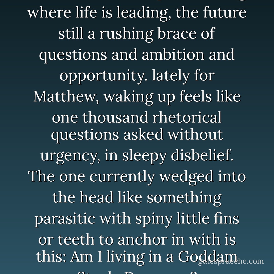 There is usually a time in life when one wakes up wondering where life is leading, the future still a rushing brace of questions and ambition and opportunity. lately for Matthew, waking up feels like one thousand rhetorical questions asked without urgency, in sleepy disbelief. The one currently wedged into the head like something parasitic with spiny little fins or teeth to anchor in with is this: Am I living in a Goddam Steely Dan song? - Dan Kennedy