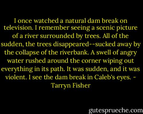 I once watched a natural dam break on television. I remember seeing a scenic picture of a river surrounded by trees. All of the sudden, the trees disappeared--sucked away by the collapse of the riverbank. A swell of angry water rushed around the corner wiping out everything in its path. It was sudden, and it was violent.<br />I see the dam break in Caleb's eyes. - Tarryn Fisher