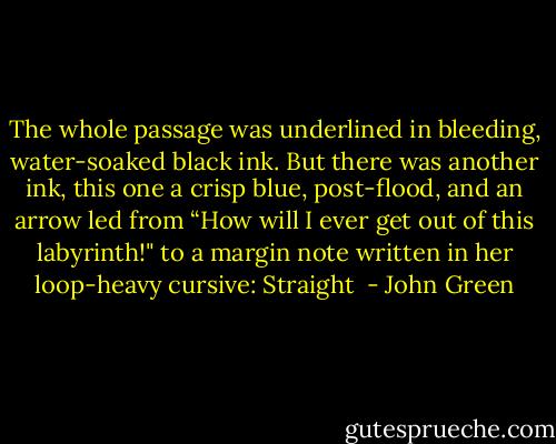 The whole passage was underlined in bleeding, water-soaked black ink. But there was another ink, this one a crisp blue, post-flood, and an arrow led from “How will I ever get out of this labyrinth!" to a margin note written in her loop-heavy cursive: Straight  - John Green