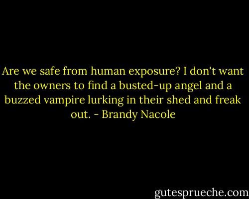 Are we safe from human exposure? I don't want the owners to find a busted-up angel and a buzzed vampire lurking in their shed and freak out. - Brandy Nacole