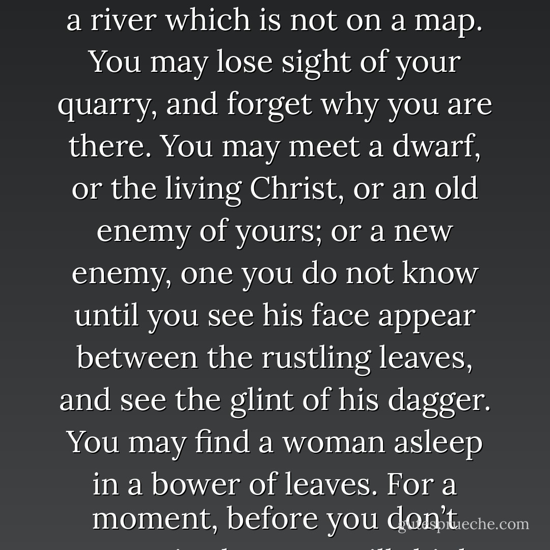 In the forest you may find yourself lost, without companions. You may come to a river which is not on a map. You may lose sight of your quarry, and forget why you are there. You may meet a dwarf, or the living Christ, or an old enemy of yours; or a new enemy, one you do not know until you see his face appear between the rustling leaves, and see the glint of his dagger. You may find a woman asleep in a bower of leaves. For a moment, before you don’t recognise her, you will think she is someone you know. - Hilary Mantel