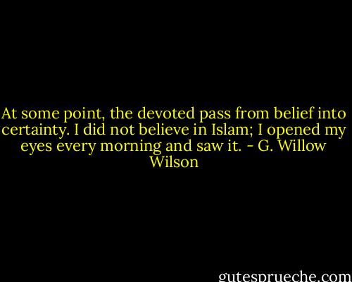 At some point, the devoted pass from belief into certainty. I did not believe in Islam; I opened my eyes every morning and saw it. - G. Willow Wilson