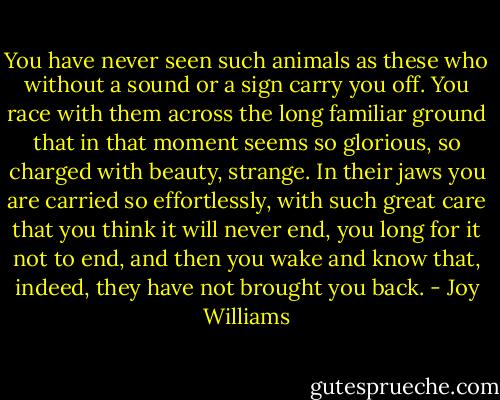 You have never seen such animals as these who without a sound or a sign carry you off. You race with them across the long familiar ground that in that moment seems so glorious, so charged with beauty, strange. In their jaws you are carried so effortlessly, with such great care that you think it will never end, you long for it not to end, and then you wake and know that, indeed, they have not brought you back. - Joy Williams