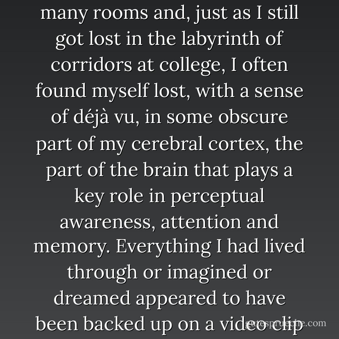 When I was cooking I enjoyed a sense of being ‘out’ of myself. The action of dicing vegetables and warming oil made my hands tingle and my thoughts switch to a different hemisphere, right brain rather than left, or left rather than right. In my mind there were many rooms and, just as I still got lost in the labyrinth of corridors at college, I often found myself lost, with a sense of déjà vu, in some obscure part of my cerebral cortex, the part of the brain that plays a key role in perceptual awareness, attention and memory. Everything I had lived through or imagined or dreamed appeared to have been backed up on a video clip and then scattered among those alien rooms. I could stumble into any number of scenes, from the horrifically sexual, horror-movie sequences that were crude and painful, to visualizing Grandpa polishing his shoes. - Alice Jamieson