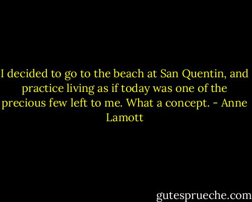 I decided to go to the beach at San Quentin, and practice living as if today was one of the precious few left to me. What a concept. - Anne Lamott
