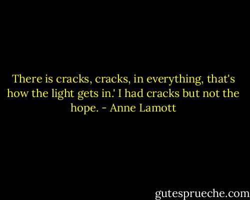 There is cracks, cracks, in everything, that's how the light gets in.' I had cracks but not the hope. - Anne Lamott