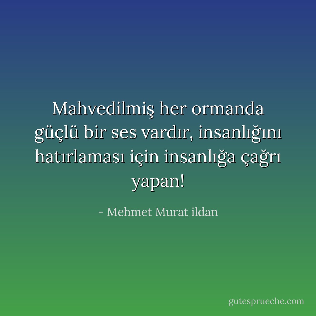 Mahvedilmiş her ormanda güçlü bir ses vardır, insanlığını hatırlaması için insanlığa çağrı yapan! - Mehmet Murat ildan