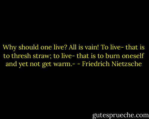 Why should one live? All is vain! To live- that is to thresh straw; to live- that is to burn oneself and yet not get warm.- - Friedrich Nietzsche
