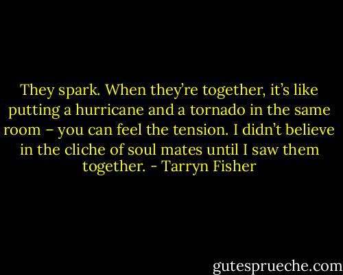 They spark. When they’re together, it’s like putting a hurricane and a tornado in the same room – you can feel the tension. I didn’t believe in the cliche of soul mates until I saw them together. - Tarryn Fisher