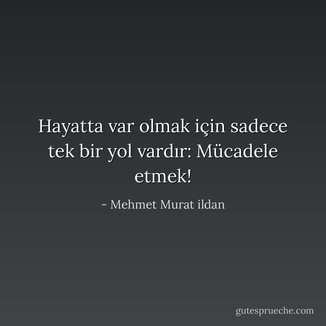 Hayatta var olmak için sadece tek bir yol vardır: Mücadele etmek! - Mehmet Murat ildan
