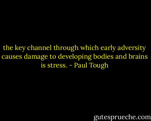 the key channel through which early adversity causes damage to developing bodies and brains is stress. - Paul Tough