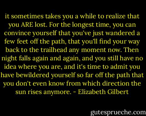 it sometimes takes you a while to realize that you ARE lost. For the longest time, you can convince yourself that you've just wandered a few feet off the path, that you'll find your way back to the trailhead any moment now. Then night falls again and again, and you still have no idea where you are, and it's time to admit you have bewildered yourself so far off the path that you don't even know from which direction the sun rises anymore. - Elizabeth Gilbert