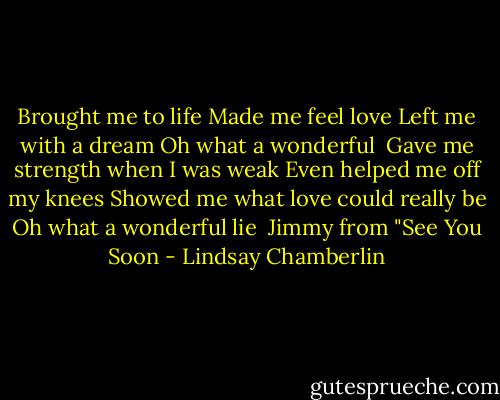 Brought me to life<br />Made me feel love<br />Left me with a dream<br />Oh what a wonderful<br /><br />Gave me strength when I was weak<br />Even helped me off my knees<br />Showed me what love could really be<br />Oh what a wonderful lie<br /><br />Jimmy from "See You Soon - Lindsay Chamberlin