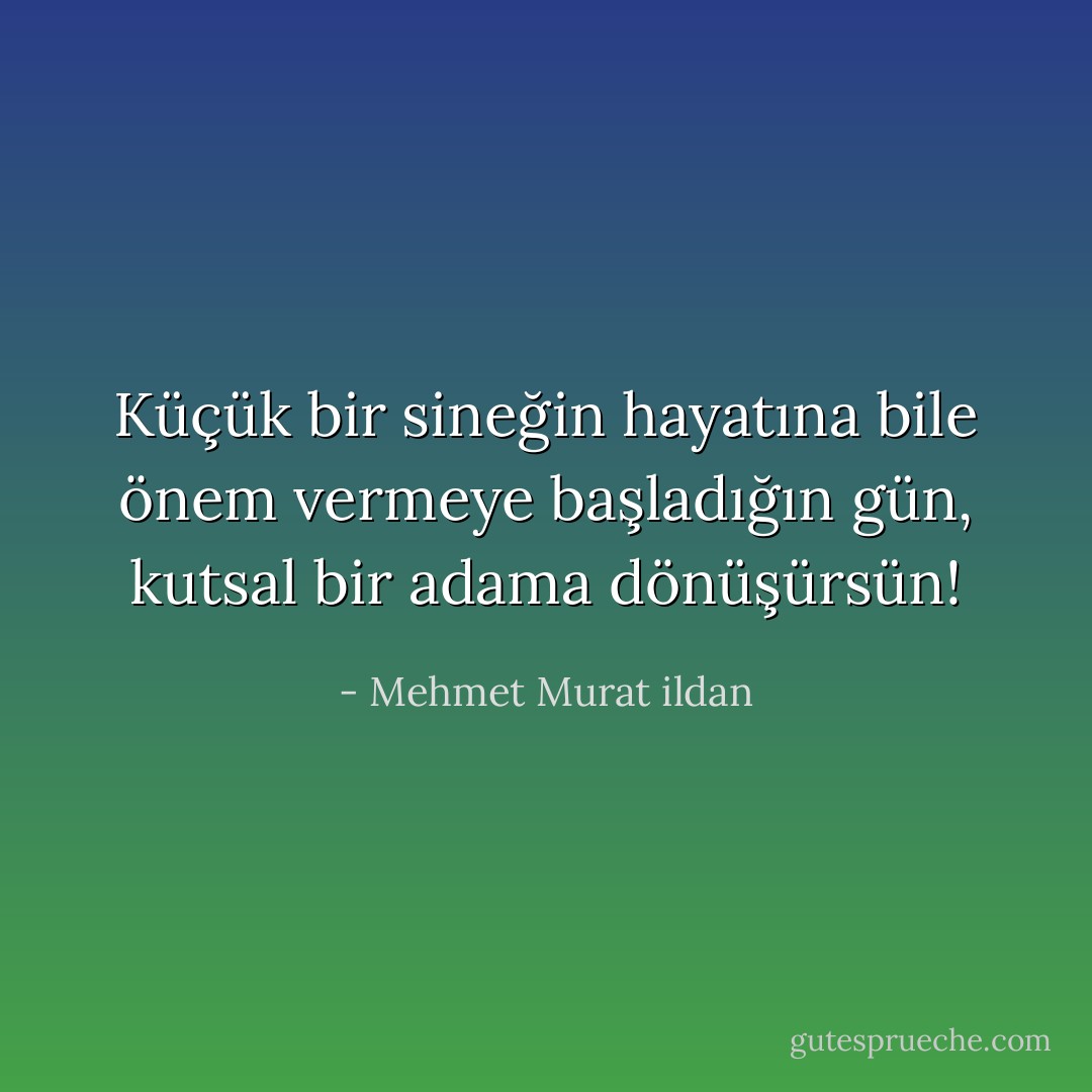 Küçük bir sineğin hayatına bile önem vermeye başladığın gün, kutsal bir adama dönüşürsün! - Mehmet Murat ildan