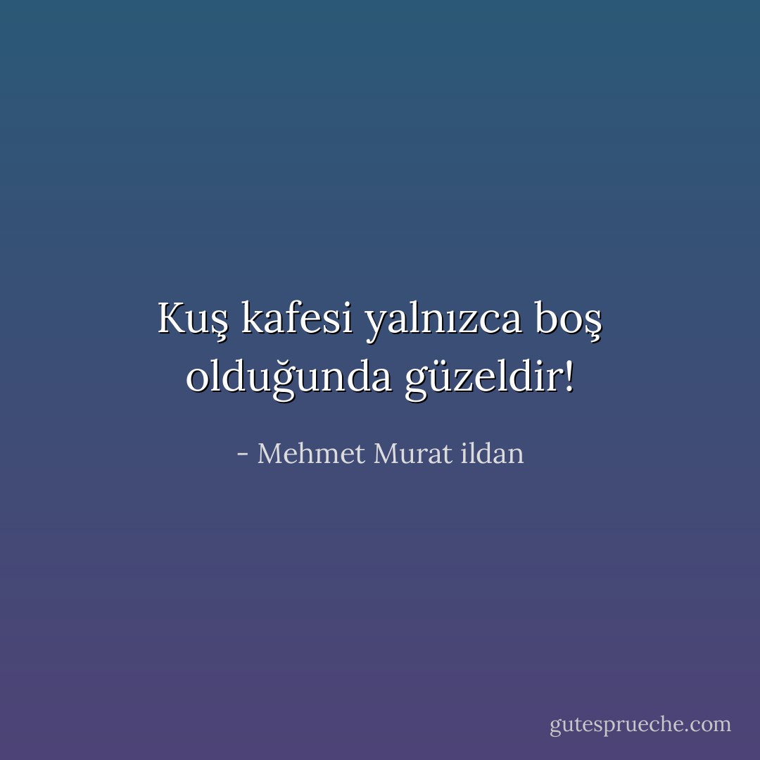Kuş kafesi yalnızca boş olduğunda güzeldir! - Mehmet Murat ildan