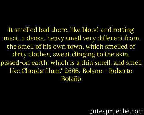 It smelled bad there, like blood and rotting meat, a dense, heavy smell very different from the smell of his own town, which smelled of dirty clothes, sweat clinging to the skin, pissed-on earth, which is a thin smell, and smell like Chorda filum."<br />2666, Bolano - Roberto Bolaño