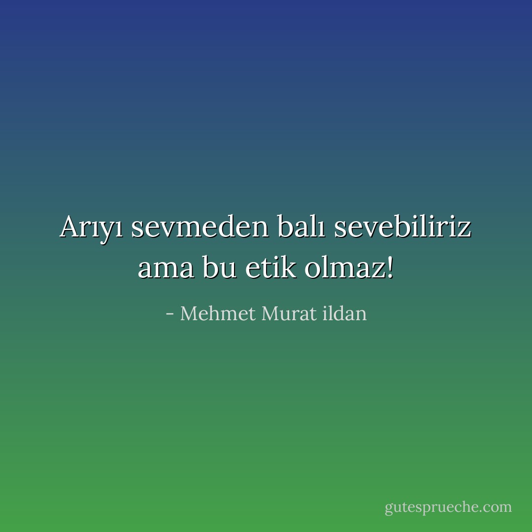 Arıyı sevmeden balı sevebiliriz ama bu etik olmaz! - Mehmet Murat ildan