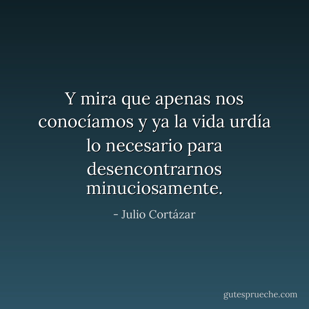 Y mira que apenas nos conocíamos y ya la vida urdía lo necesario para desencontrarnos minuciosamente. - Julio Cortázar