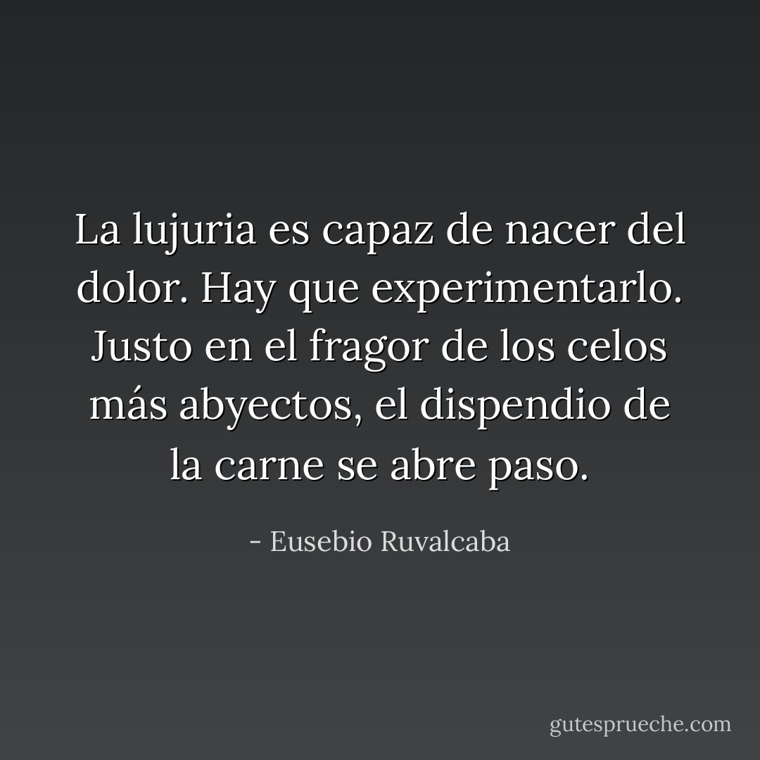 La lujuria es capaz de nacer del dolor. Hay que experimentarlo. Justo en el fragor de los celos más abyectos, el dispendio de la carne se abre paso. - Eusebio Ruvalcaba