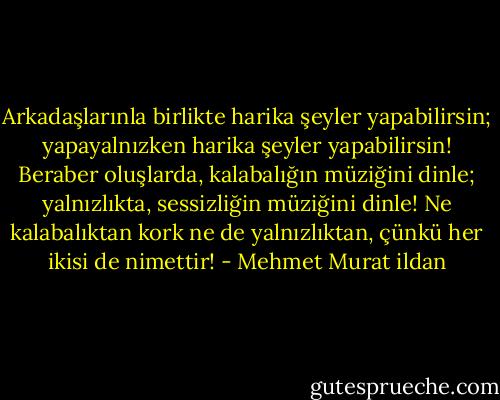 Arkadaşlarınla birlikte harika şeyler yapabilirsin; yapayalnızken harika şeyler yapabilirsin! Beraber oluşlarda, kalabalığın müziğini dinle; yalnızlıkta, sessizliğin müziğini dinle! Ne kalabalıktan kork ne de yalnızlıktan, çünkü her ikisi de nimettir! - Mehmet Murat ildan