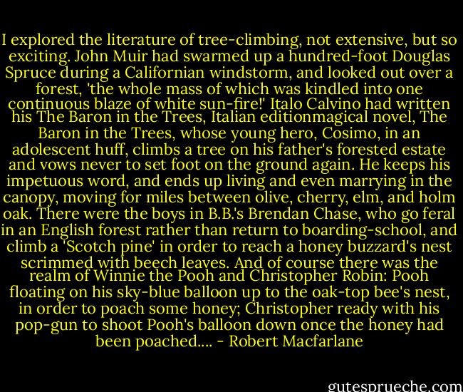 I explored the literature of tree-climbing, not extensive, but so exciting. John Muir had swarmed up a hundred-foot Douglas Spruce during a Californian windstorm, and looked out over a forest, 'the whole mass of which was kindled into one continuous blaze of white sun-fire!' Italo Calvino had written his The Baron in the Trees, Italian editionmagical novel, The Baron in the Trees, whose young hero, Cosimo, in an adolescent huff, climbs a tree on his father's forested estate and vows never to set foot on the ground again. He keeps his impetuous word, and ends up living and even marrying in the canopy, moving for miles between olive, cherry, elm, and holm oak. There were the boys in B.B.'s Brendan Chase, who go feral in an English forest rather than return to boarding-school, and climb a 'Scotch pine' in order to reach a honey buzzard's nest scrimmed with beech leaves. And of course there was the realm of Winnie the Pooh and Christopher Robin: Pooh floating on his sky-blue balloon up to the oak-top bee's nest, in order to poach some honey; Christopher ready with his pop-gun to shoot Pooh's balloon down once the honey had been poached.... - Robert Macfarlane