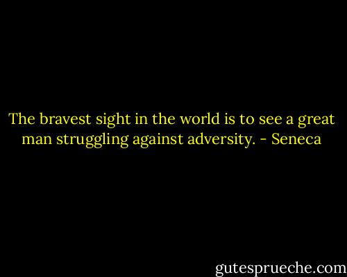 The bravest sight in the world is to see a great man struggling against adversity. - Seneca