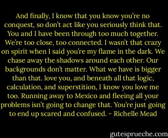 And finally, I know that you know you’re no conquest, so don’t act like you seriously think that. You and I have been through too much together. We’re too close, too connected. I wasn’t that crazy on spirit when I said you’re my flame in the dark. We chase away the shadows around each other. Our backgrounds don’t matter. What we have is bigger than that. love you, and beneath all that logic, calculation, and superstition, I know you love me too. Running away to Mexico and fleeing all your problems isn’t going to change that. You’re just going to end up scared and confused. - Richelle Mead