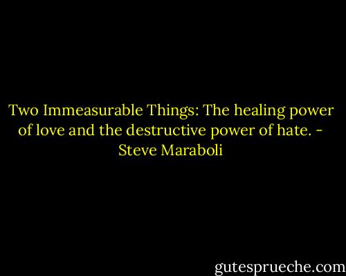 Two Immeasurable Things: The healing power of love and the destructive power of hate. - Steve Maraboli