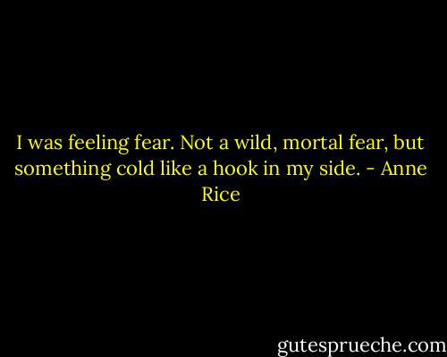 I was feeling fear. Not a wild, mortal fear, but something cold like a hook in my side. - Anne Rice