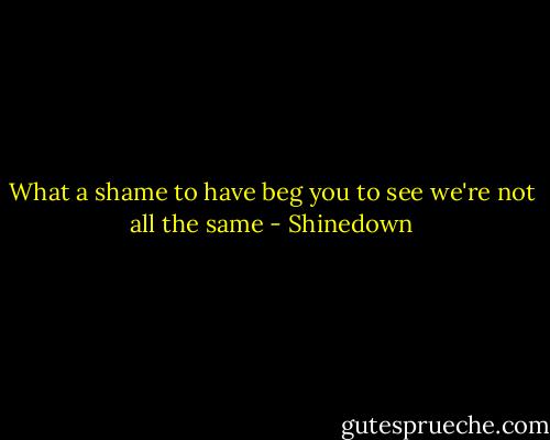 What a shame to have beg you to see we're not all the same - Shinedown
