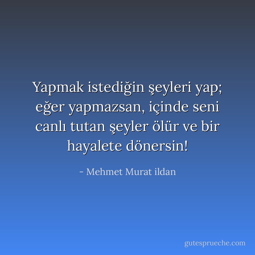 Yapmak istediğin şeyleri yap; eğer yapmazsan, içinde seni canlı tutan şeyler ölür ve bir hayalete dönersin! - Mehmet Murat ildan