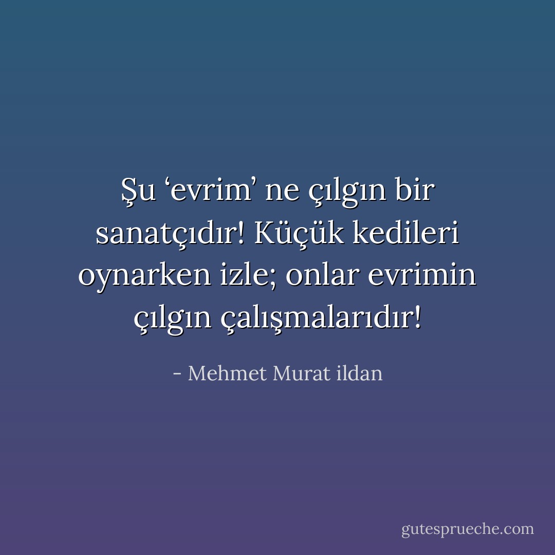 Şu ‘evrim’ ne çılgın bir sanatçıdır! Küçük kedileri oynarken izle; onlar evrimin çılgın çalışmalarıdır! - Mehmet Murat ildan