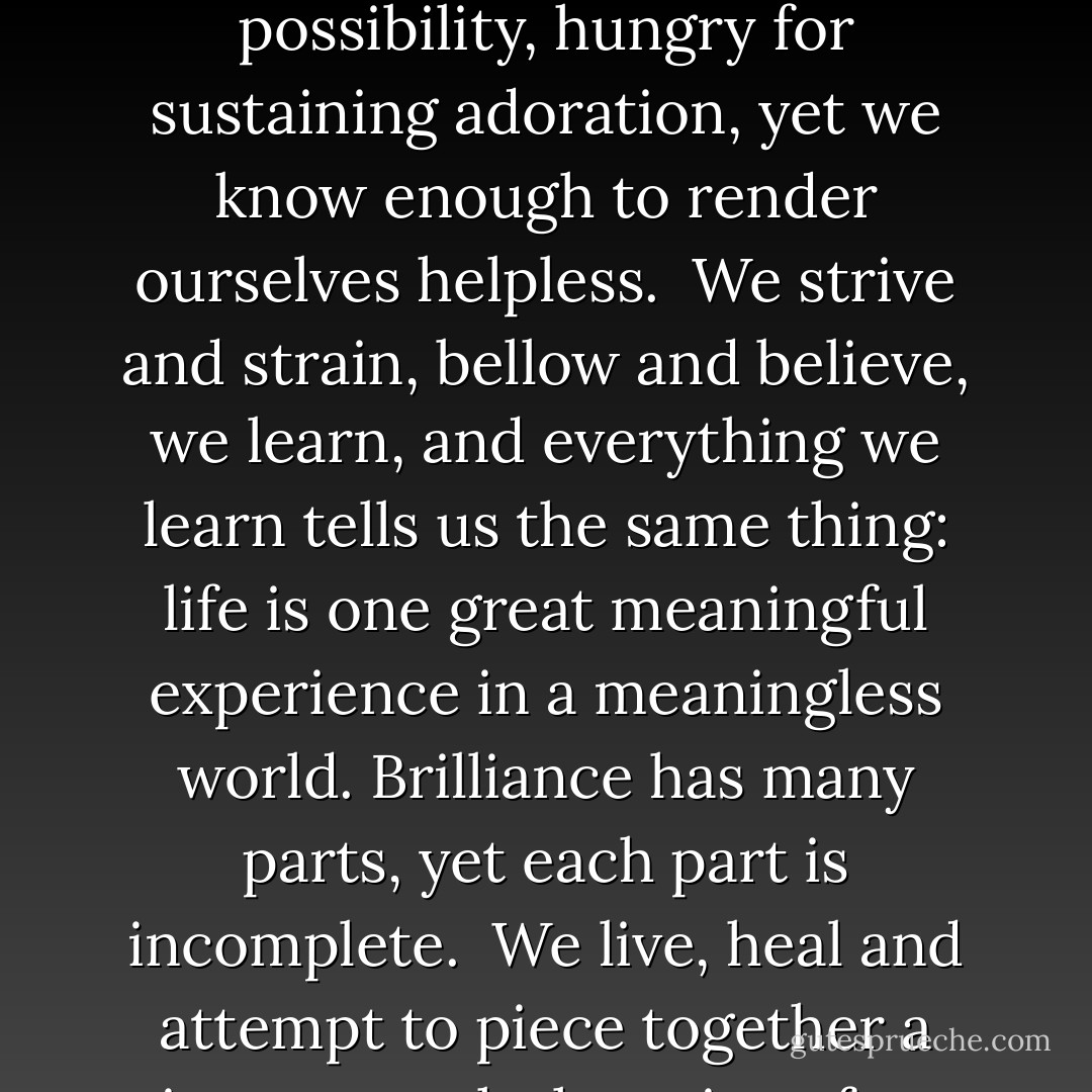 It’s strange how what drives us may abandon us midstream, how what tickles our ears with lies one moment may tell us truths that knock us on our emotional ass the next.<br /> After all, it is an unbelievably real world, with Darwin scribbling his thoughts into books and telling us what monkeys we are. Each of us explores possibility, hungry for sustaining adoration, yet we know enough to render ourselves helpless.<br /> We strive and strain, bellow and believe, we learn, and everything we learn tells us the same thing: life is one great meaningful experience in a meaningless world. Brilliance has many parts, yet each part is incomplete.<br /> We live, heal and attempt to piece together a picture worth the price of our very lives.<br /> The picture I saw presented demonic executioners, who crippled those daring to look and consumed souls without defense. They’re everywhere. Some are people we know. Others are the great fears and addictions of our lives. - Christopher Hawke