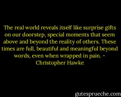 The real world reveals itself like surprise gifts on our doorstep, special moments that seem above and beyond the reality of others. These times are full, beautiful and meaningful beyond words, even when wrapped in pain. - Christopher Hawke