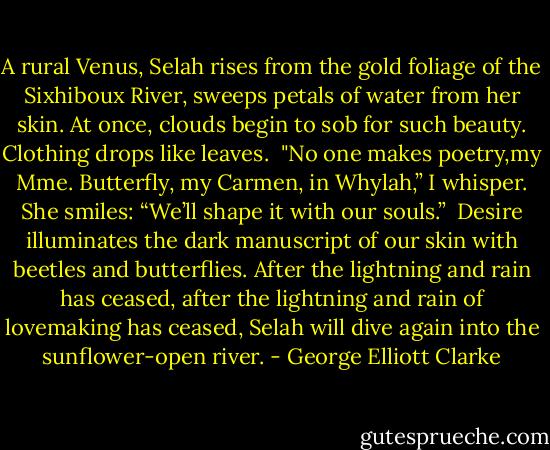 A rural Venus, Selah rises from the<br />gold foliage of the Sixhiboux River, sweeps<br />petals of water from her skin. At once,<br />clouds begin to sob for such beauty.<br />Clothing drops like leaves.<br /><br />"No one makes poetry,my Mme.<br />Butterfly, my Carmen, in Whylah,”<br />I whisper. She smiles: “We’ll shape it with<br />our souls.”<br /><br />Desire illuminates the dark manuscript<br />of our skin with beetles and butterflies.<br />After the lightning and rain has ceased,<br />after the lightning and rain of lovemaking<br />has ceased, Selah will dive again into the<br />sunflower-open river. - George Elliott Clarke