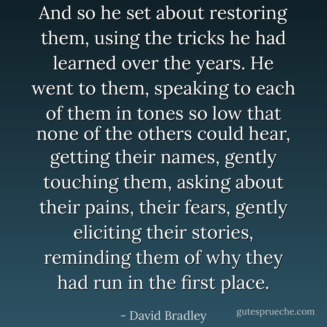 And so he set about restoring them, using the tricks he had learned over the years. He went to them, speaking to each of them in tones so low that none of the others could hear, getting their names, gently touching them, asking about their pains, their fears, gently eliciting their stories, reminding them of why they had run in the first place. - David Bradley