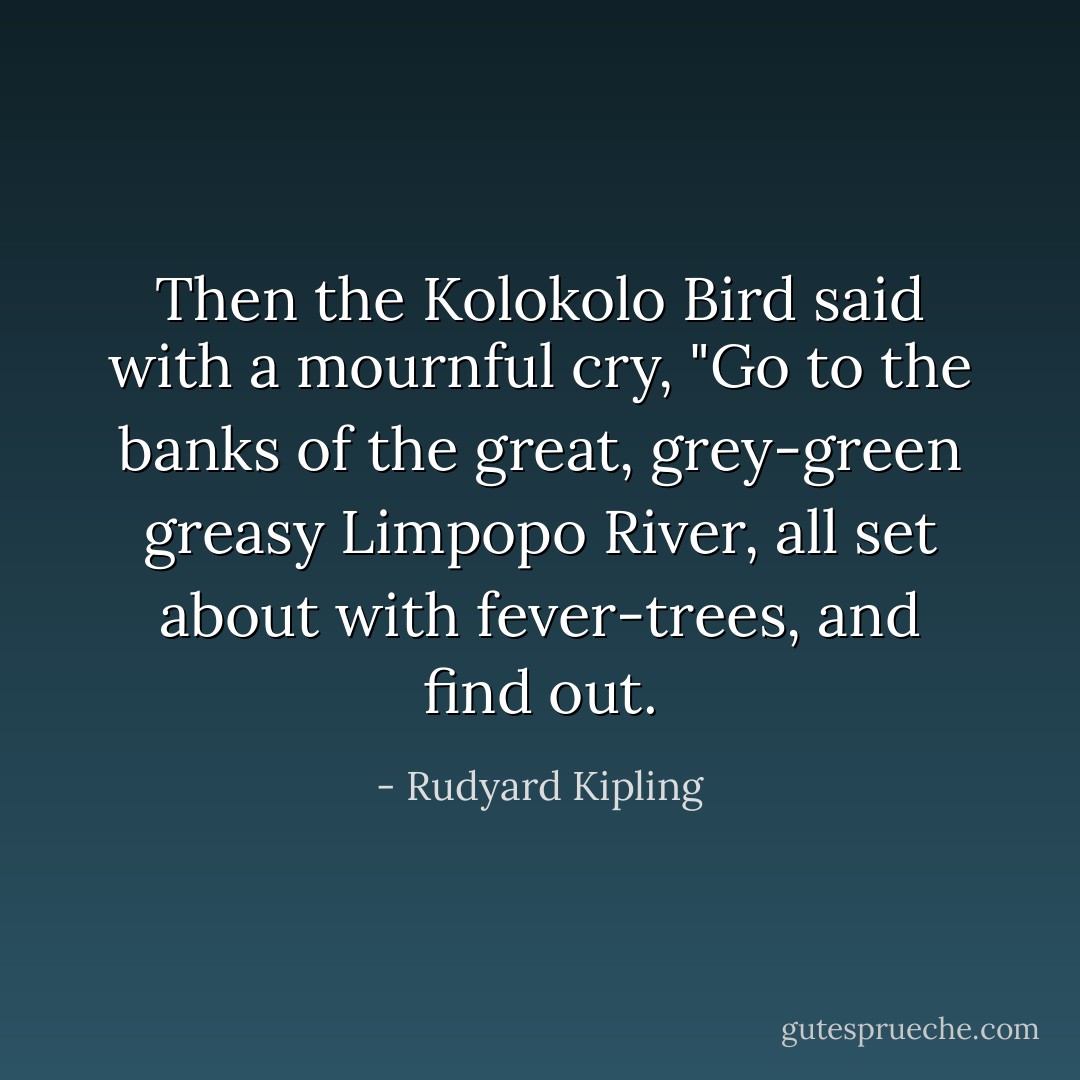 Then the Kolokolo Bird said with a mournful cry, "Go to the banks of the great, grey-green greasy Limpopo River, all set about with fever-trees, and find out. - Rudyard Kipling