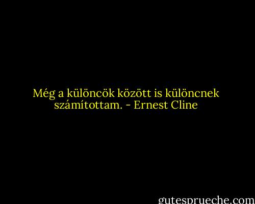 Még a különcök között is különcnek számítottam. - Ernest Cline