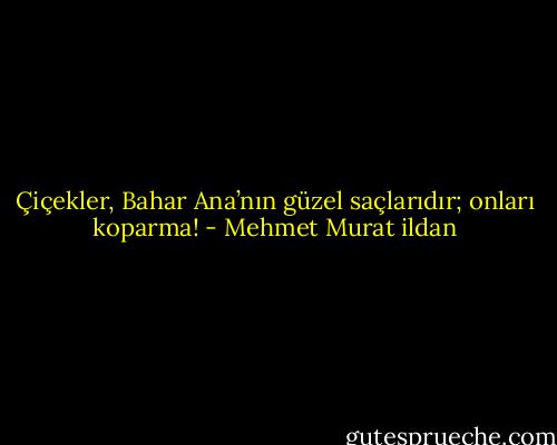 Çiçekler, Bahar Ana’nın güzel saçlarıdır; onları koparma! - Mehmet Murat ildan
