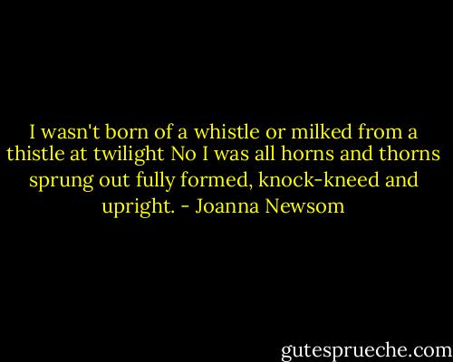 I wasn't born of a whistle or milked from a thistle at twilight<br />No I was all horns and thorns sprung out fully formed, knock-kneed and upright. - Joanna Newsom