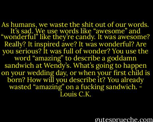 As humans, we waste the shit out of our words. It’s sad. We use words like “awesome” and “wonderful” like they’re candy. It was awesome? Really? It inspired awe? It was wonderful? Are you serious? It was full of wonder? You use the word “amazing” to describe a goddamn sandwich at Wendy’s. What’s going to happen on your wedding day, or when your first child is born? How will you describe it? You already wasted “amazing” on a fucking sandwich. - Louis C.K.