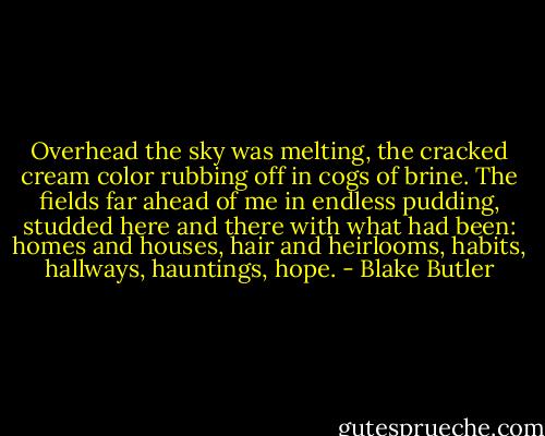 Overhead the sky was melting, the cracked cream color rubbing off in cogs of brine.<br />The fields far ahead of me in endless pudding, studded here and there with what had been: homes and houses, hair and heirlooms, habits, hallways, hauntings, hope. - Blake Butler